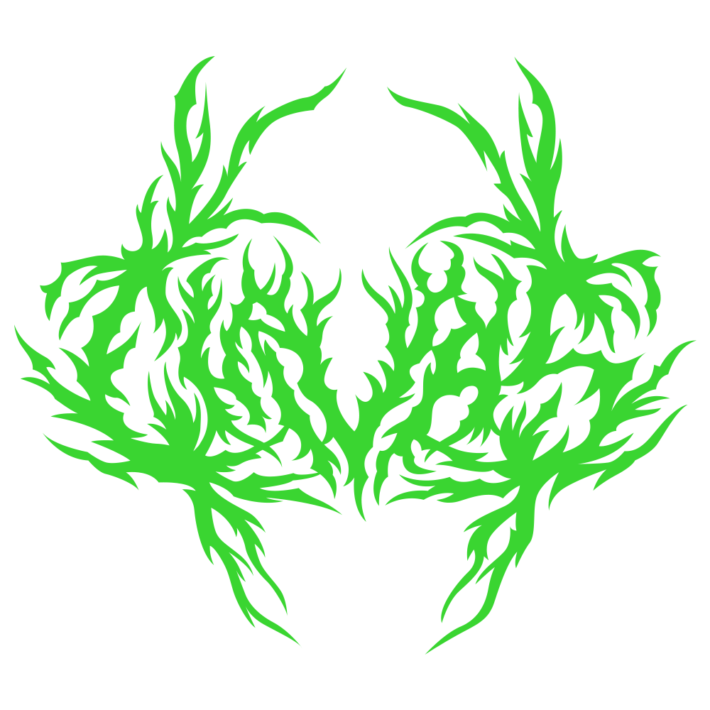 GUGU chivas "nauczyłem się przeklinać"